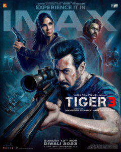 Tiger 3 movie