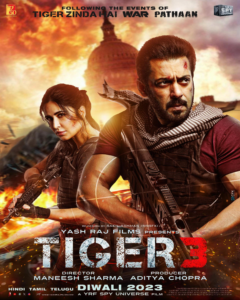 Tiger 3 movie