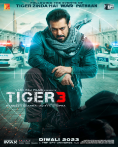 Tiger 3 movie