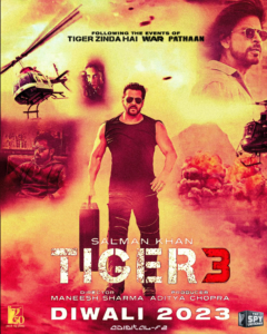 Tiger 3 movie