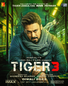 Tiger 3 movie