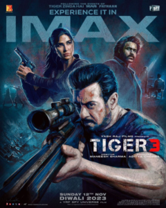 Tiger 3 movie