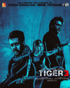 Tiger 3 movie