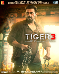Tiger 3 movie