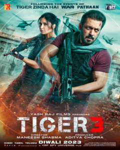 Tiger 3 movie