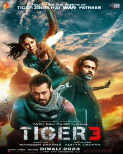 Tiger 3 movie