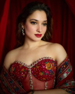 Stree 2 movie
