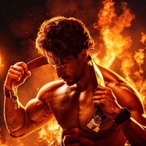 Singham Again movie