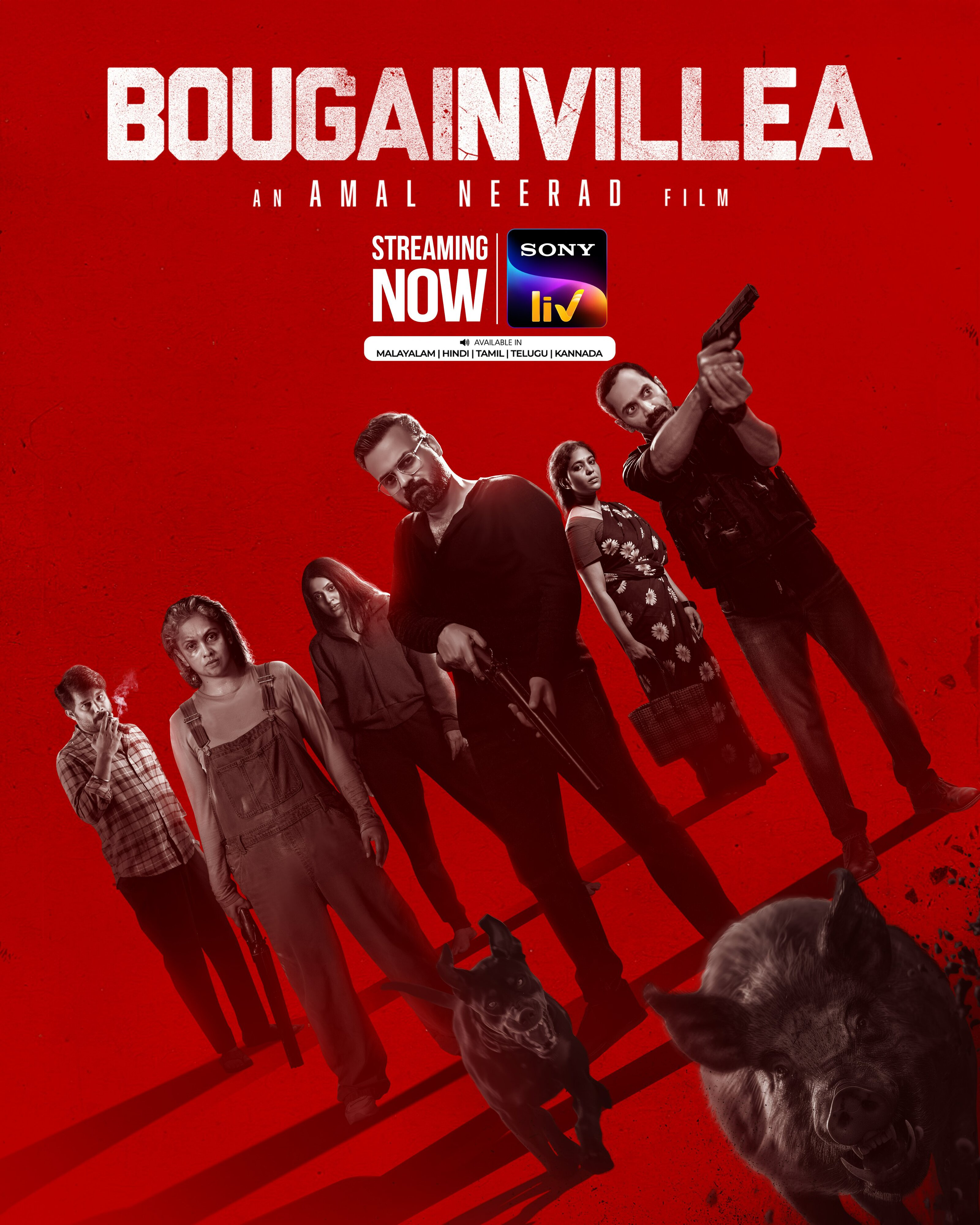 Bougainvillea movie
